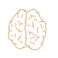 brain icon